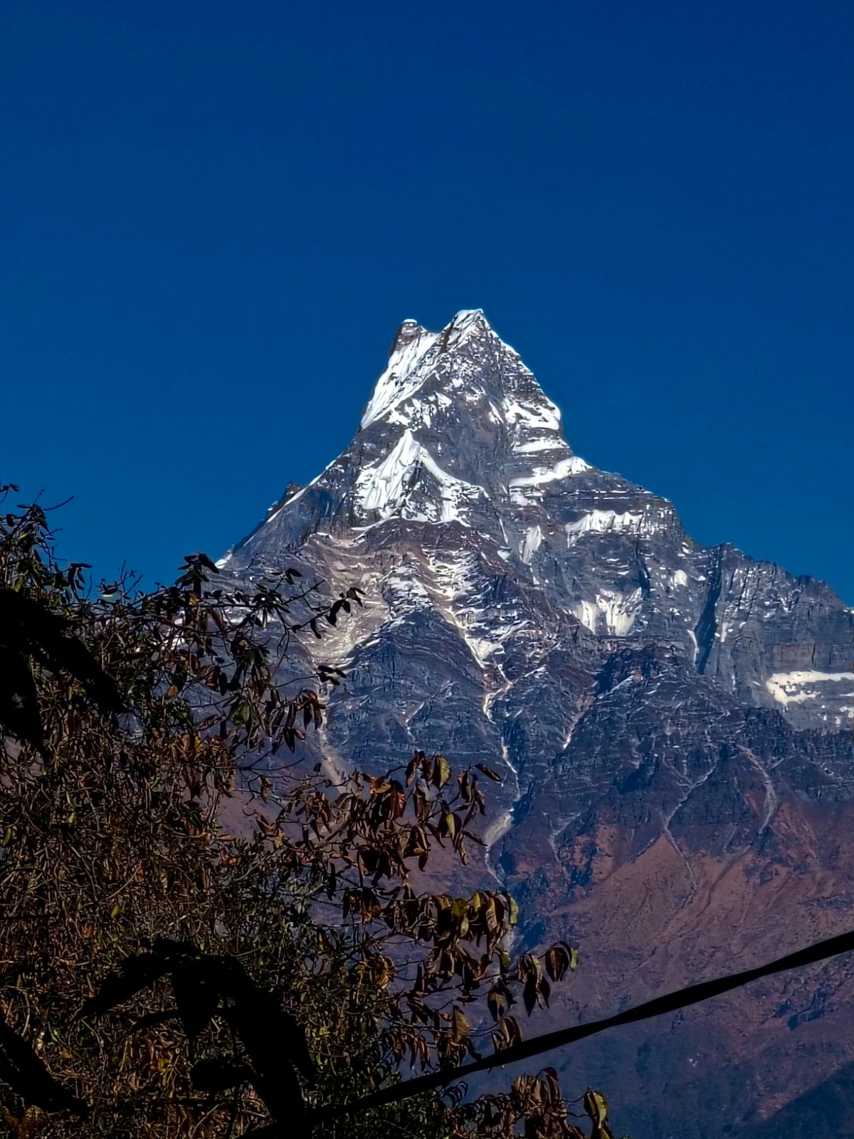 Mardi Himal 1
